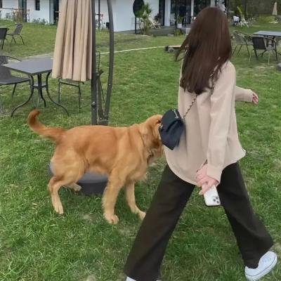 女恶魔人海报