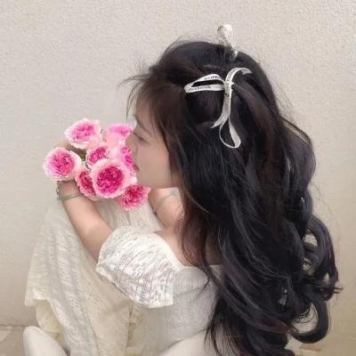 洪门斗恶者海报
